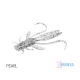Nimfa Delphin MANYA UVs / 5ks 10.5cm/PEARL