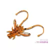 Delphin B! Stinx Nympha Fruity 2,5cm Nástraha 20ks