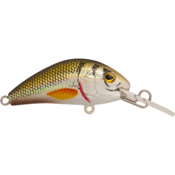 Rapture Pro Evoque F NTG 4cm 3,5gr Wobler