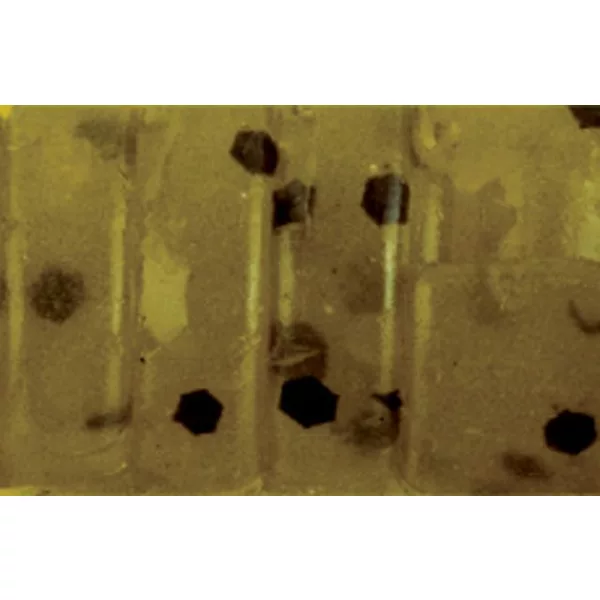 Rapture ULC Alien Craw 2.5cm 0,5gr Watermelon Mäkká gumená nástraha 12ks