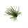 Rapture TG Finesse Rub Jig 2,3gr #01 Watermelon Sukňový Jig