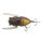 Tiemco Cicada Origin Magnum F 4,5cm 6gr 062 Bogár Utánzat