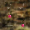 Carp Academy Fusion 0,30mm 25m Priehľadný Fluorocarbon Nadväzcový vlasec