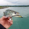 Reiva Ultra silná Jig Head 6/0-24gr 3ks/balenie Jig hlava