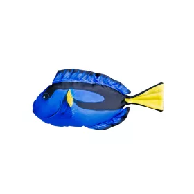 Ryba Vankúš Dory Baby