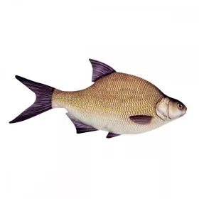 Rybí vankúš Plotička 70Cm