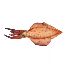 EnergoTeam Rybí vankúš Kalamár 76cm