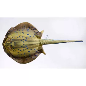   EnergoTeam The Bluespotted Stingray 85cm Vankúš v tvare ryby