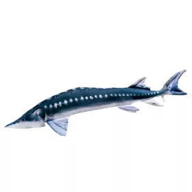 EnergoTeam The European Sturgeon 36cm Rybársky vankúš