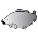 Delphin Samolepiaca kapor SILVER