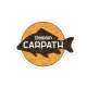 Samolepiaca Delphin CARPATH 95x75mm