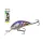 Salmo Rattlin Hornet H5 5F HUT 5,5cm 10,5gr Wobbler