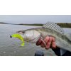 Nevis Impulse Shad 6,3cm 1,77gr 6ks/bal Fluo Zelená Trblietka X2 Plastová nástraha