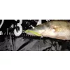 Reiva Zander Power Shad 8cm 3,18g 5ks/bal (Čierno Strieborná) Plastová nástraha
