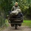 Avid Arctic-Series Sherpa Fleece Bunda L