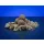 BaitBait Álmok Tengere 30mm Tartósított Bojli 1kg