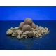 BaitBait Álmok Tengere 30mm Tartósított Bojli 1kg
