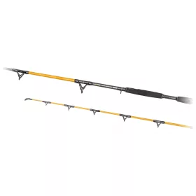   Predator Z Catzoom Brutal 3,30m 850gr 2-dielny Sumcový Prút