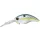 Evergreen Wildhunch 8 Footer 6,0cm 16,5gr #289 Queen Shad Wobler