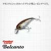 Evergreen Belcanto 6,3cm 10gr #59 Skeleton Chart Wobler