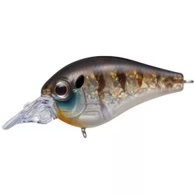   Evergreen Piccolo Dive Shallow 4cm 6,4gr #246 Child Gill Wobbler