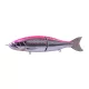 Babyface BB180-SF 18cm 80gr 30 Chart Back Konoshiro Wobbler