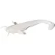 FISHUP Catfish 7,62cm (8ks), #081 - Pearl Plastová nástraha