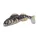 Iron Claw 3D Clone Goby Grundel PB 8cm 6gr Plasztik Csali