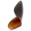 Iron Claw Belly Boy MO 5cm Plasztik Csali