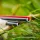 Guru Generic Match Carp Kit 4,7mm Diel č.1