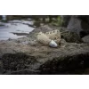 Matrix Plastic Orbit Feeder M 60gr Bočný kŕmidlo