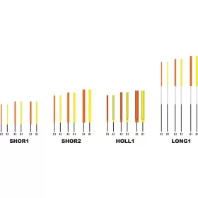   Garbolino WAGGLER COMPETITION SP W13 - CARBON anténna sada /2-3-4 mm/