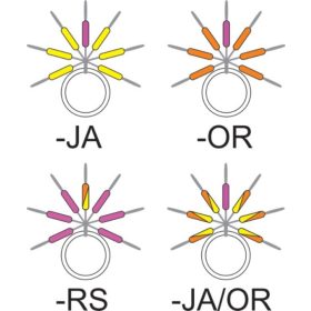   Garbolino - STREAMLINE STIX LINE VISUALIZER - Drobné príslušenstvo - Zarážka - Pstruhová gumená zarážka
