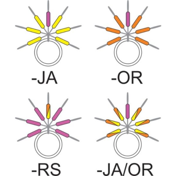 Garbolino - STREAMLINE STIX LINE VISUALIZER - Drobné príslušenstvo - Zarážka - Pstruhová gumená zarážka