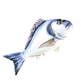 EnergoTeam The Gilthead Sea Bream 60cm Rybí Vankúš