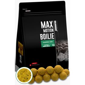   Haldorádó Max Motion Boilie Premium Soluble Champion Kukurica 800gr 24mm Boilie