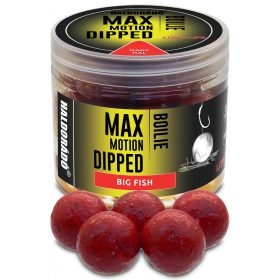   Haldorádó Max Motion Boilie Dipované Veľká Ryba 100gr 20mm Boilie