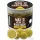 Haldorádó Max Motion Boilie Hard Hook Wafter 16, 20mm Champion Corn Csalizó Bojli 100gr