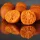 HNV Baits Fruits & Nuts Soluble Big Balls Hookbaits 30mm Rozpustná Nástraha na Háčik 165gr