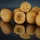HNV Baits Sweet Nuts Soluble Big Balls Hookbaits 30mm Rozpustná Nástraha na Háčik 165gr