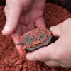 Korum Dura-method Feeder 60g Method krmítko