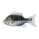 Livetarget Sunfish Unrigged Green-Pearl 8,5cm Gumový slnečník 4ks