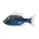 Livetarget Sunfish Unrigged Strieborno-modrá 8,5cm Gumová slnečnica 4ks