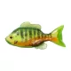Livetarget Sunfish Unrigged Chartreuse-oranžová 8,5cm Gumová slnečnica 4ks