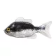 Livetarget Sunfish Unrigged Čierno-strieborná 8,5cm Gumová slnečnica 4ks