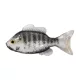 Livetarget Sunfish Nenaviazaná Bielo-Albínová 8,5cm Gumená Slnečnica 4ks