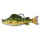 Livetarget Yellow Perch Swimbait Žlto-zelená 11,3cm 21gr Plastová nástraha