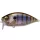 Megabass ORC Over Rev Crank 7cm 17,5gr Gillkko Wobbler