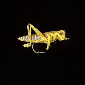 JMC Sauterelle 22 H8 - PCB 6 umelá muška