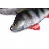 Fox Rage Ultra Natural Perch Fillet 6cm Plasztik Csali 4db
